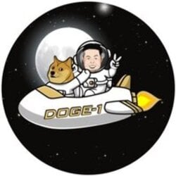 Satellite Doge-1